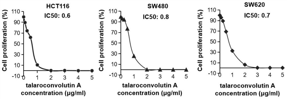 Application of talaroconvolutin A in anticancer drugs