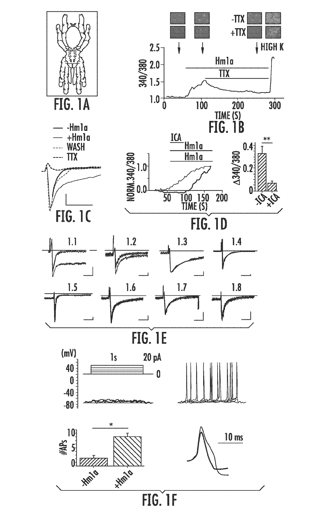 Pharmacological modulators of nav1.1 voltage-gated sodium channels associated with mechanical pain