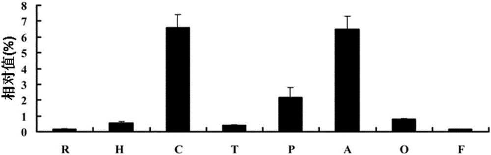 Identification and application of cotton drought-resistance related gene GhDRP1