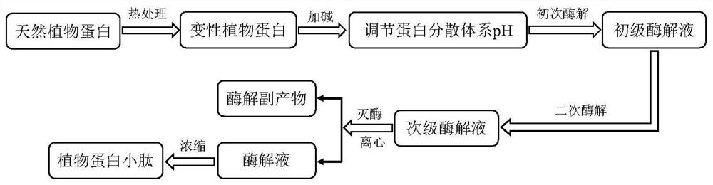 Industrial preparation method of Maillard peptide flavor salt