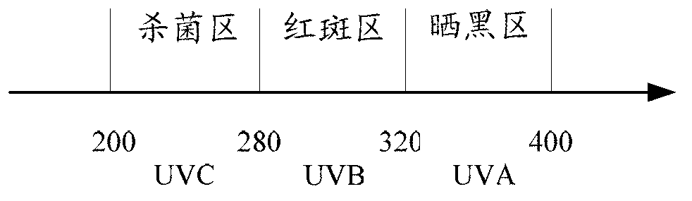 Natural plant sun-screening agent as well as preparation method and application of natural plant sun-screening agent