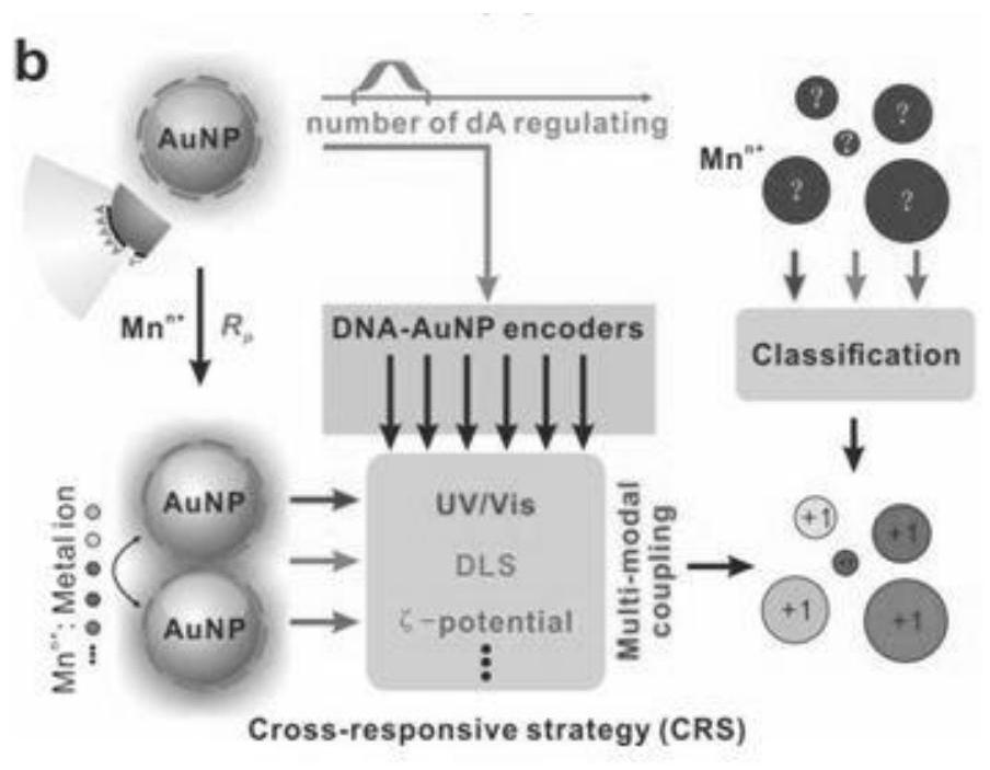 Multi-peak coupling analysis method of cross response system based on DNA-AuNP coding