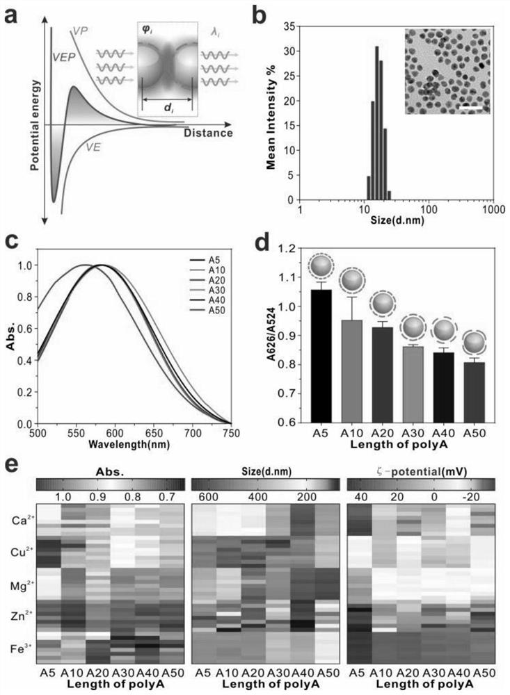 Multi-peak coupling analysis method of cross response system based on DNA-AuNP coding