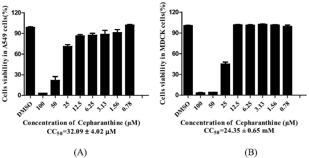 Application of cepharanthine in preparation of anti-influenza virus drugs