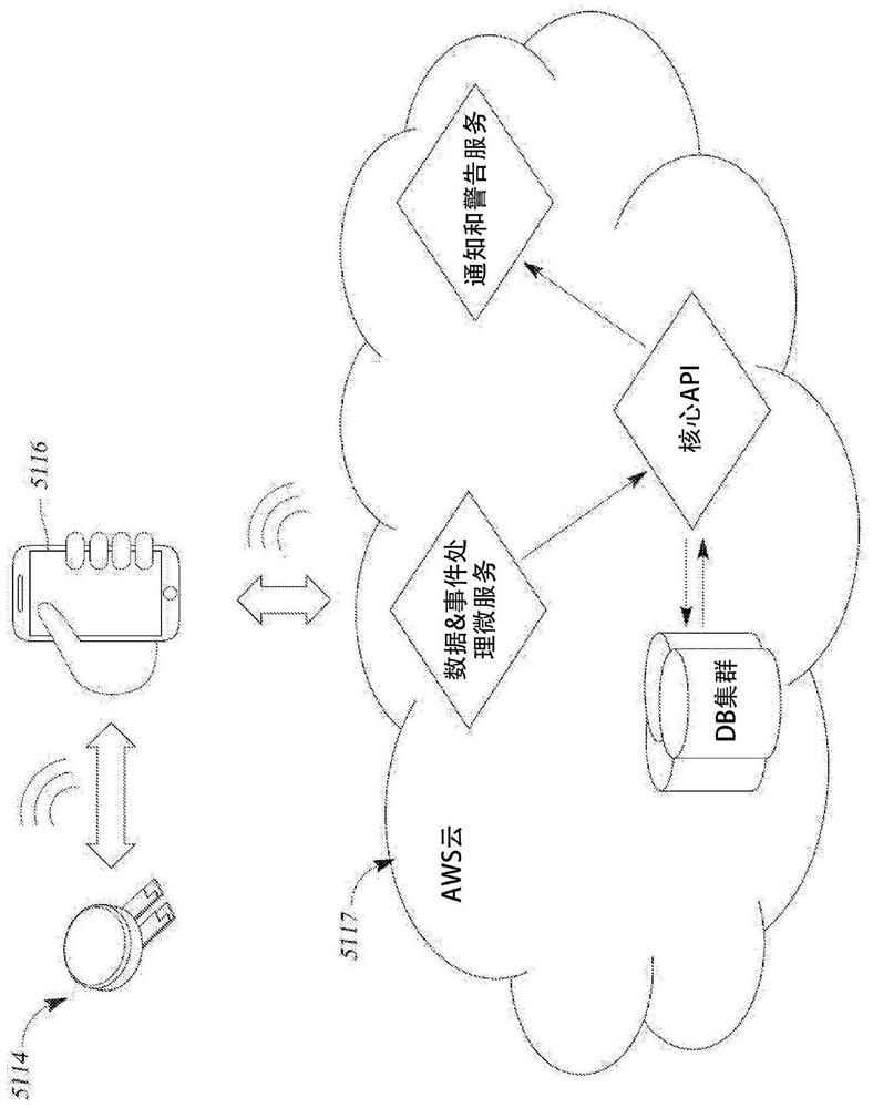 System and method for analyzing urine and fecal matter