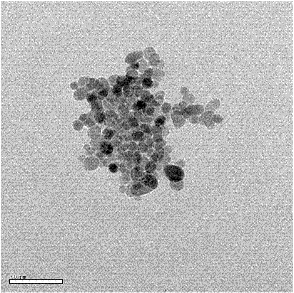 A method of converting oil-soluble nanoparticles into water-soluble nanoparticles