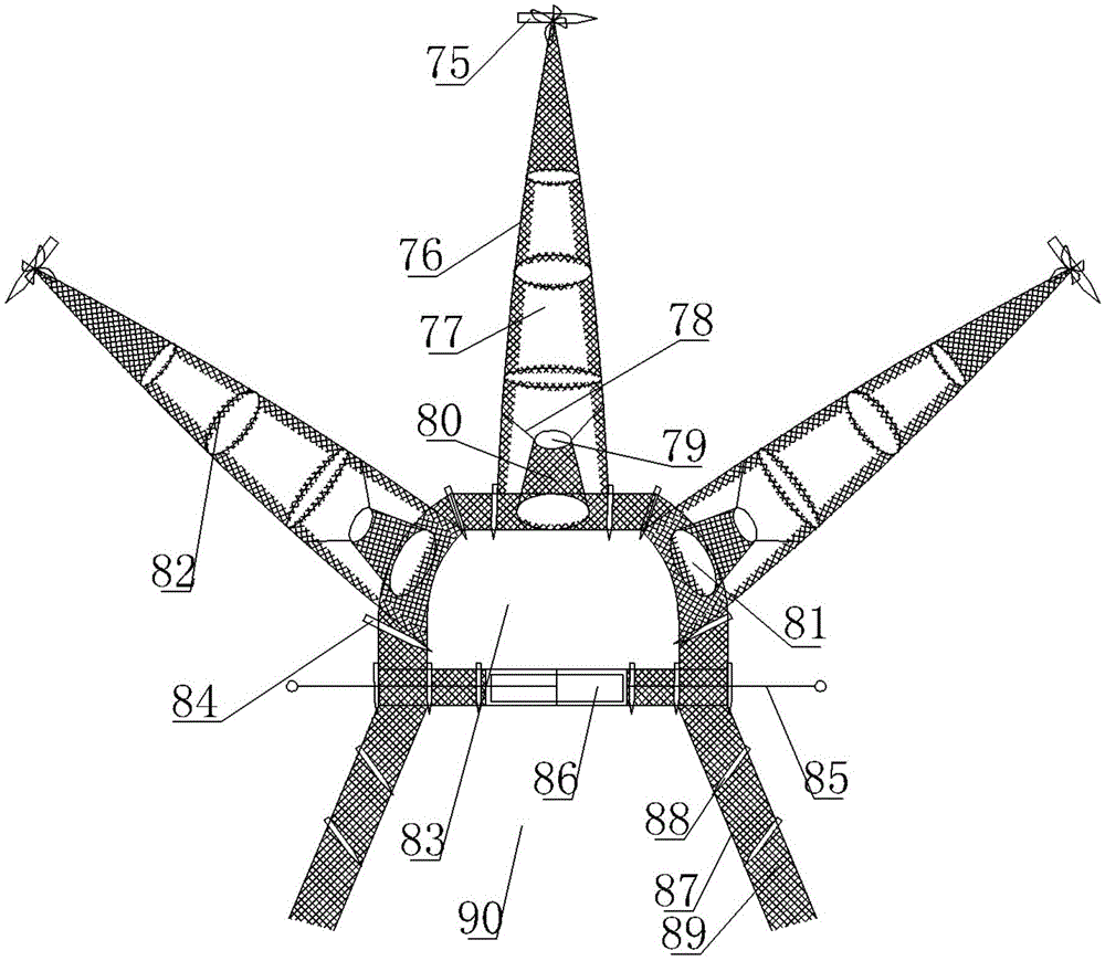 Device for trapping megalobrama amblycephala in large culture water surfaces