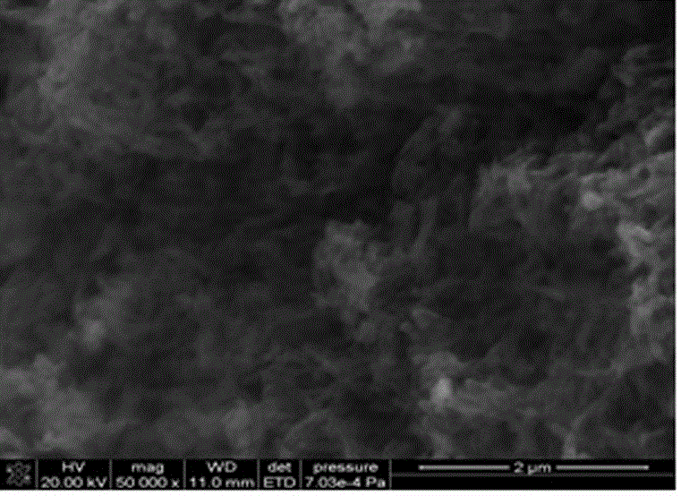 Phosphoric-acid-functionalized carbon nano tubes (CNTs)-supported Pt catalyst for direct methanol fuel cell and preparation method of catalyst