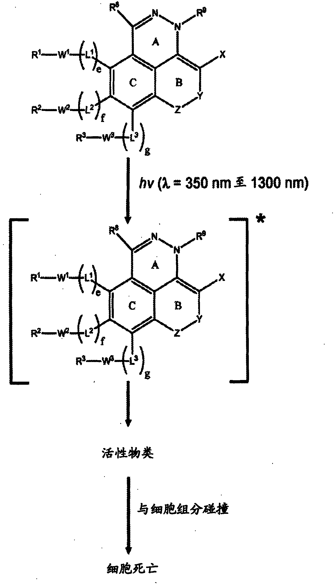 Azo and diaza derivatives and uses thereof in phototherapy