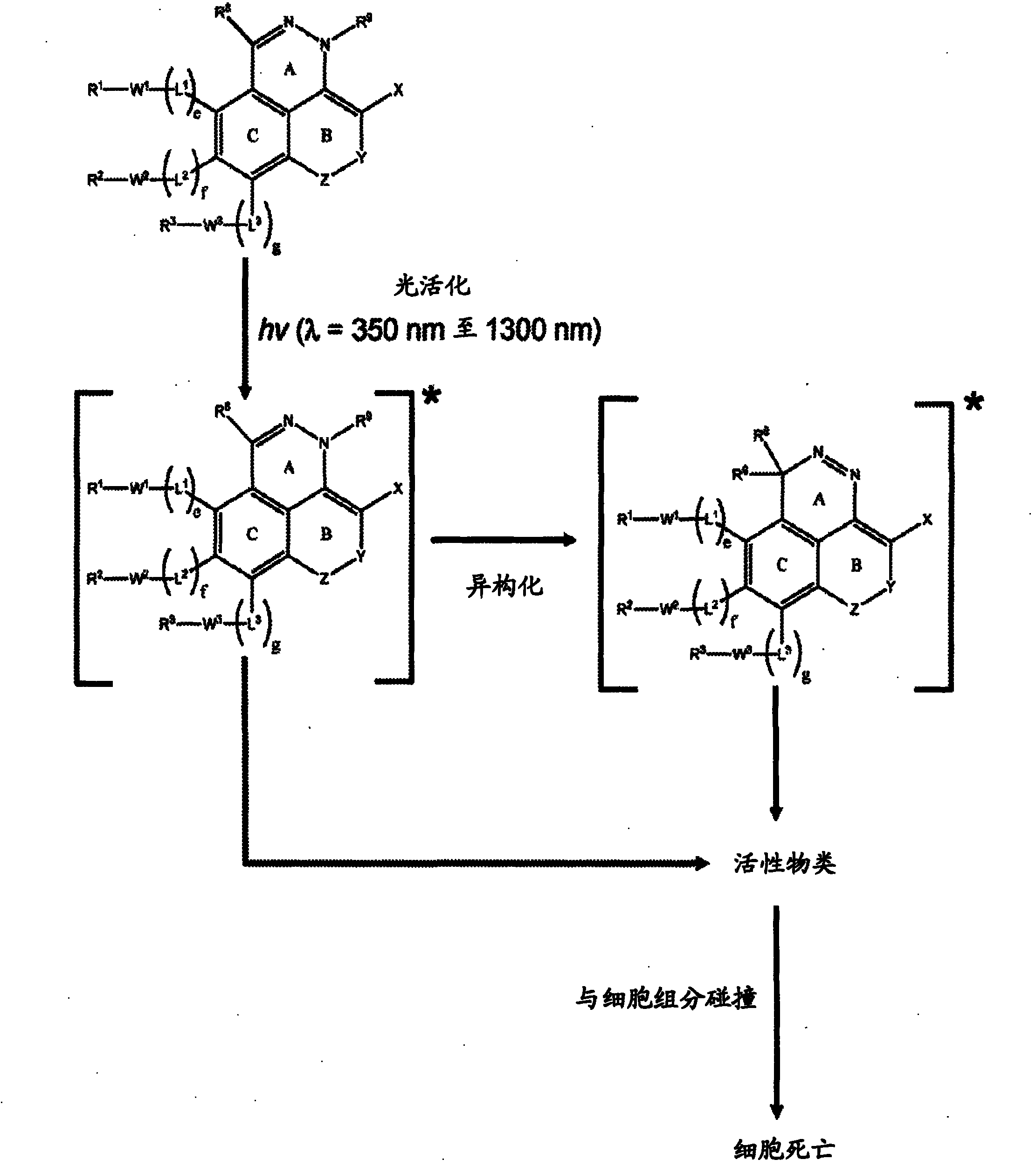 Azo and diaza derivatives and uses thereof in phototherapy
