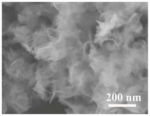 Two-dimensional bimetallic site conductive metal organic framework material and preparation method thereof