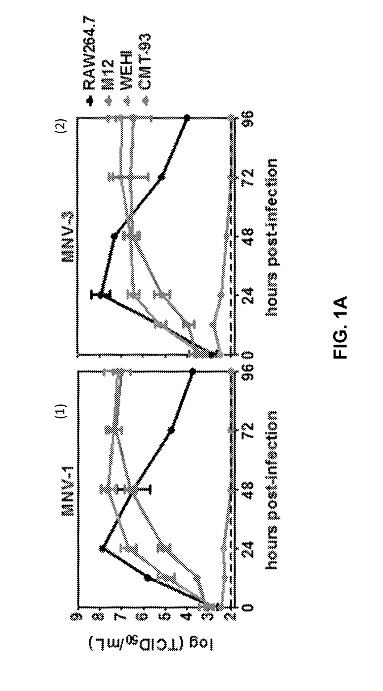 Methods and compositions for caliciviridae