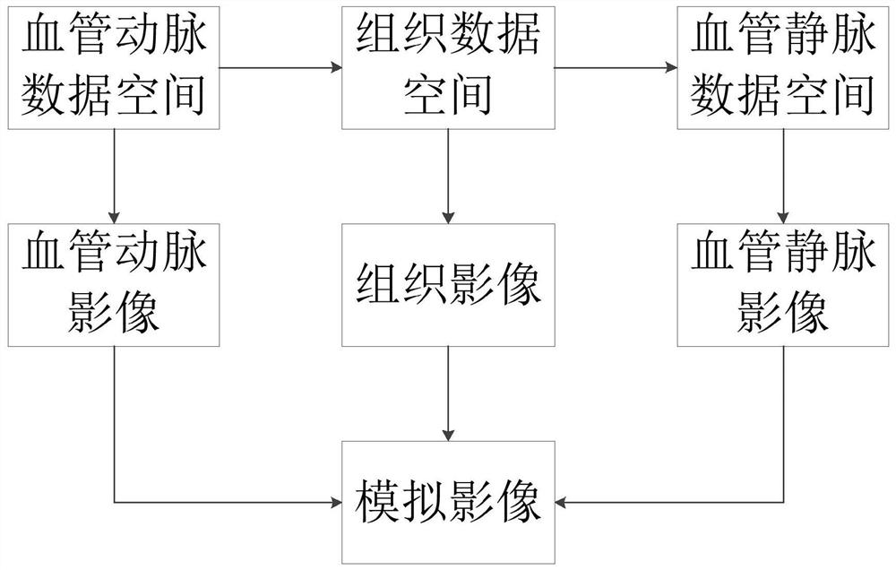 A kind of tissue inflammation simulation display method and system