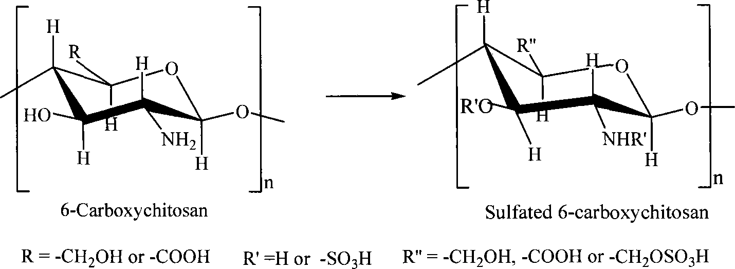 Sulfonated acylation 6-carboxyl chitosan as well as salt and preparation method thereof