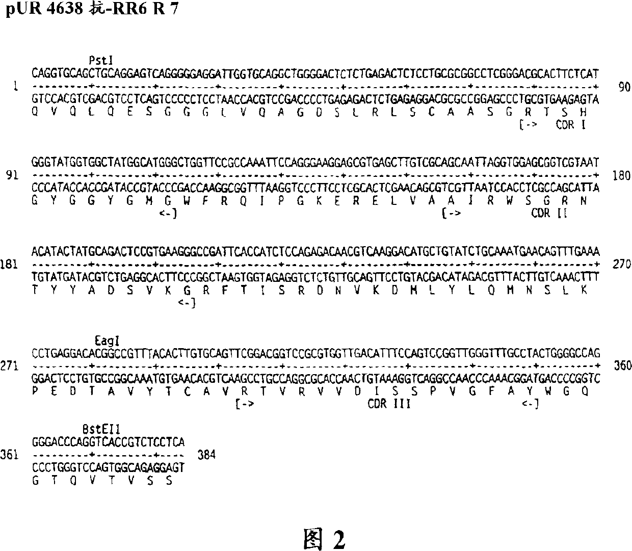 Multivalent antigen-binding proteins