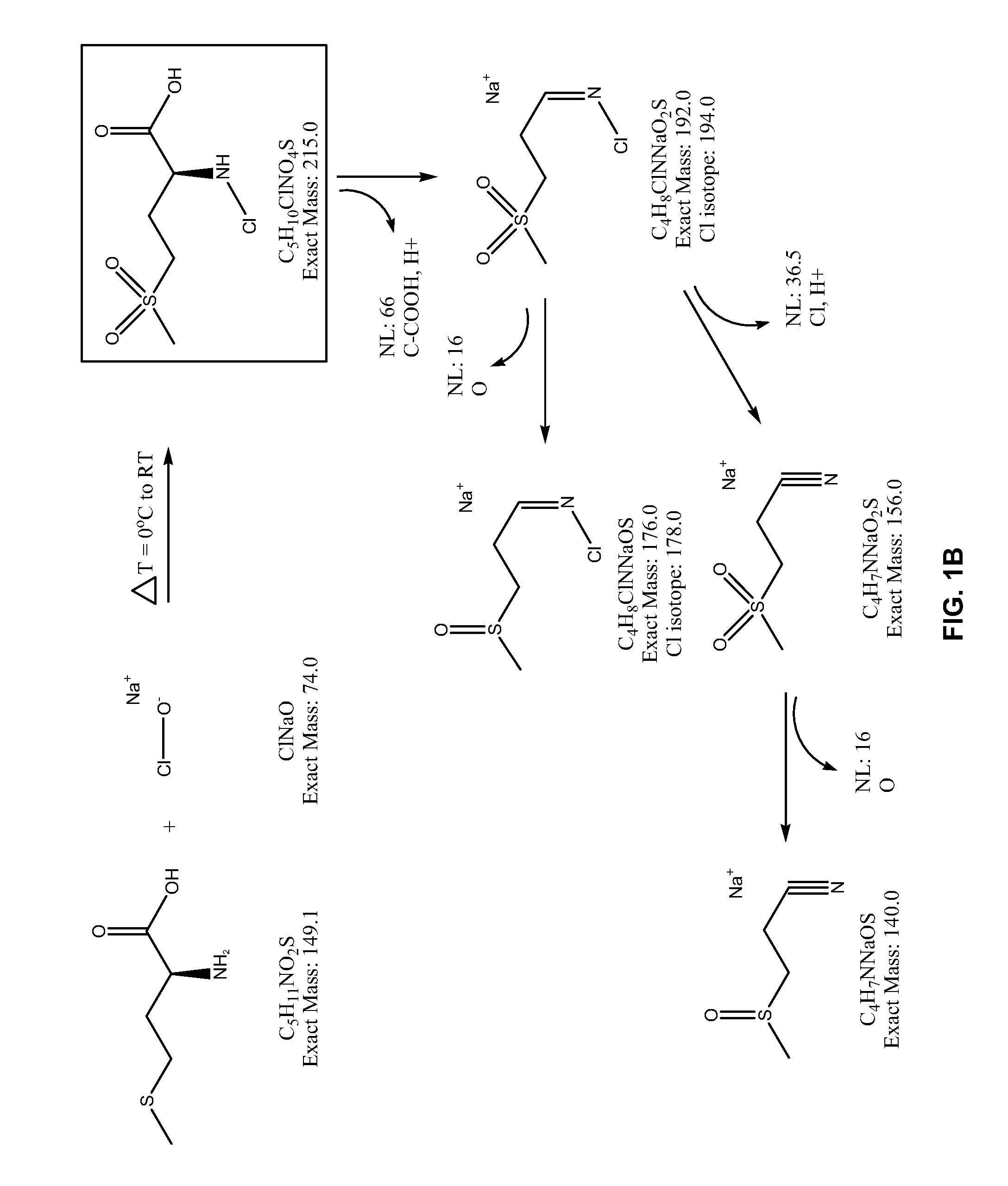 Compounds for treating inflammation and pain