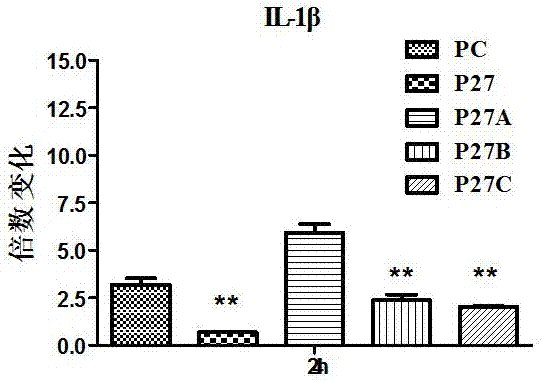 Establishment method and application of eukaryotic avian leukosis virus capsid protein expression vector with immunosuppressive effect