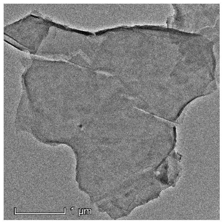 Conductive and degradable multifunctional tissue engineering scaffold and preparation method thereof