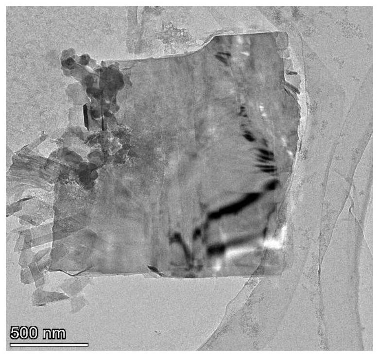 Conductive and degradable multifunctional tissue engineering scaffold and preparation method thereof