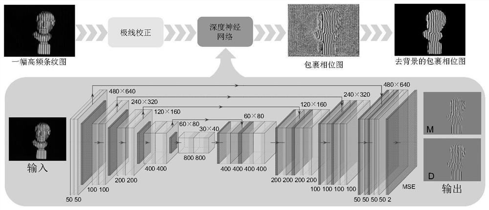 Learning-Based Method for 3D Measurement with Fringe Phase Recovery and Speckle Correlation