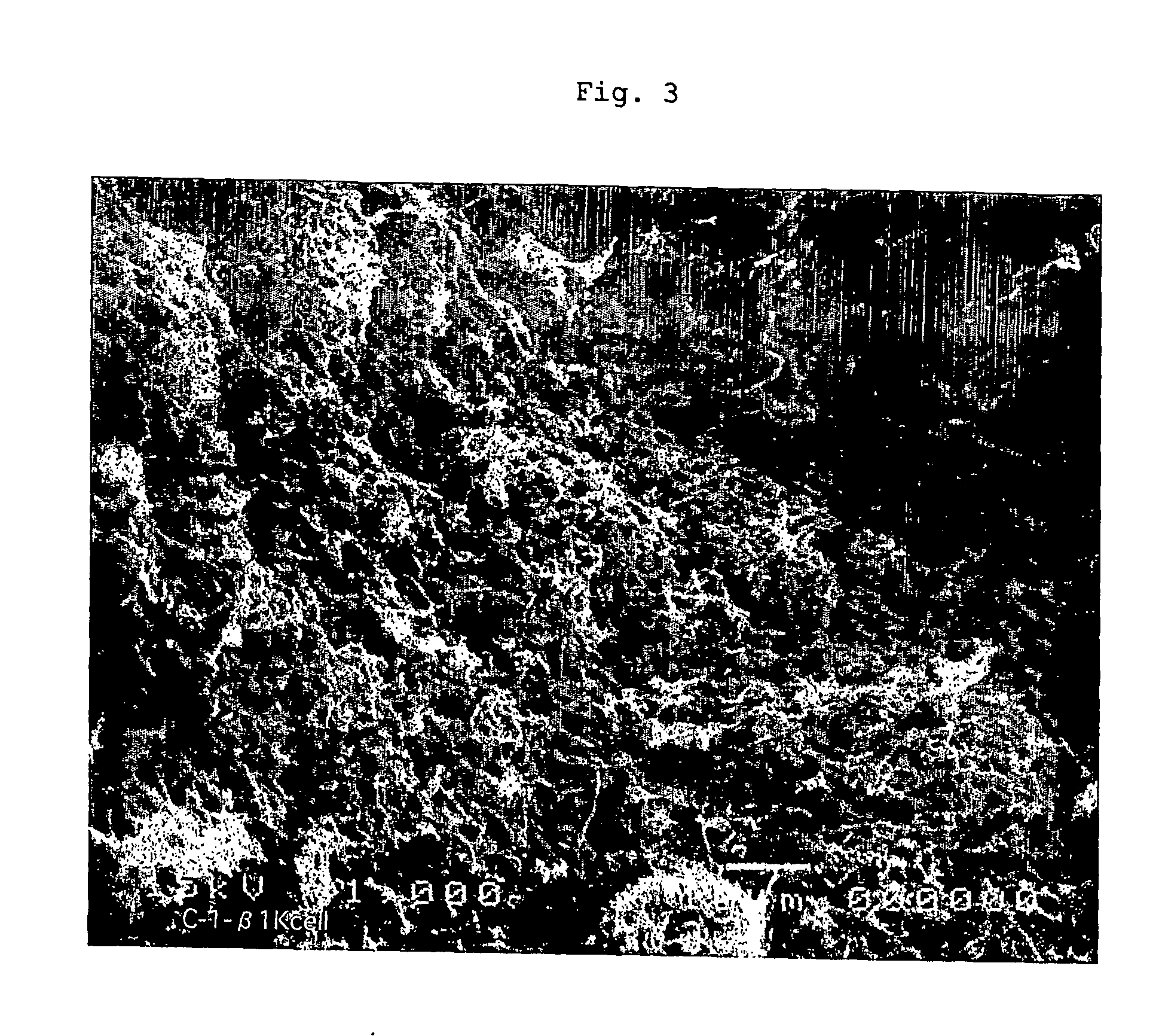 Porous body, production method thereof and composite material using the porous body