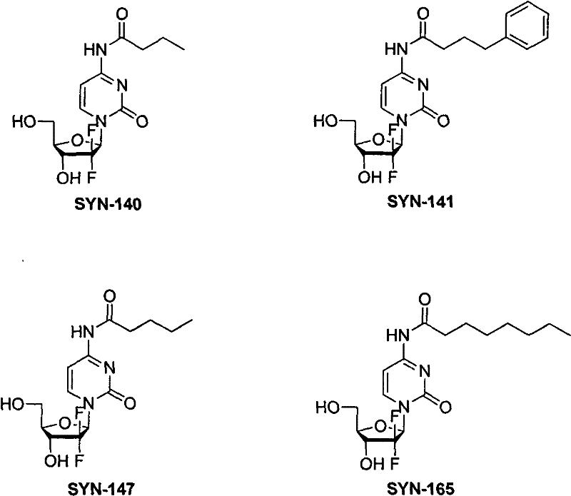 Gemcitabine amide derivates, and preparation method and application thereof