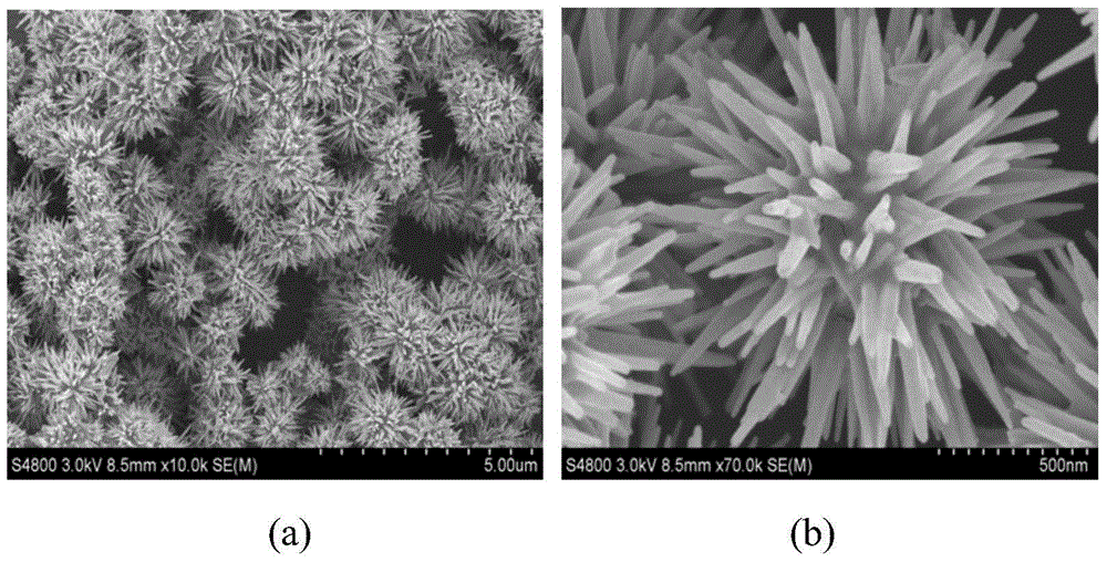 Sea urchin-shaped modified nanometer ZnO photocatalyst as well as preparation method and application of photocatalyst