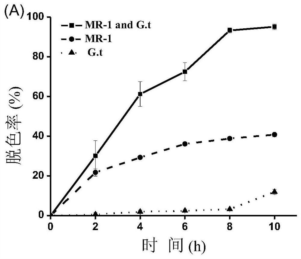 A dye anaerobic biological decolorization system and method