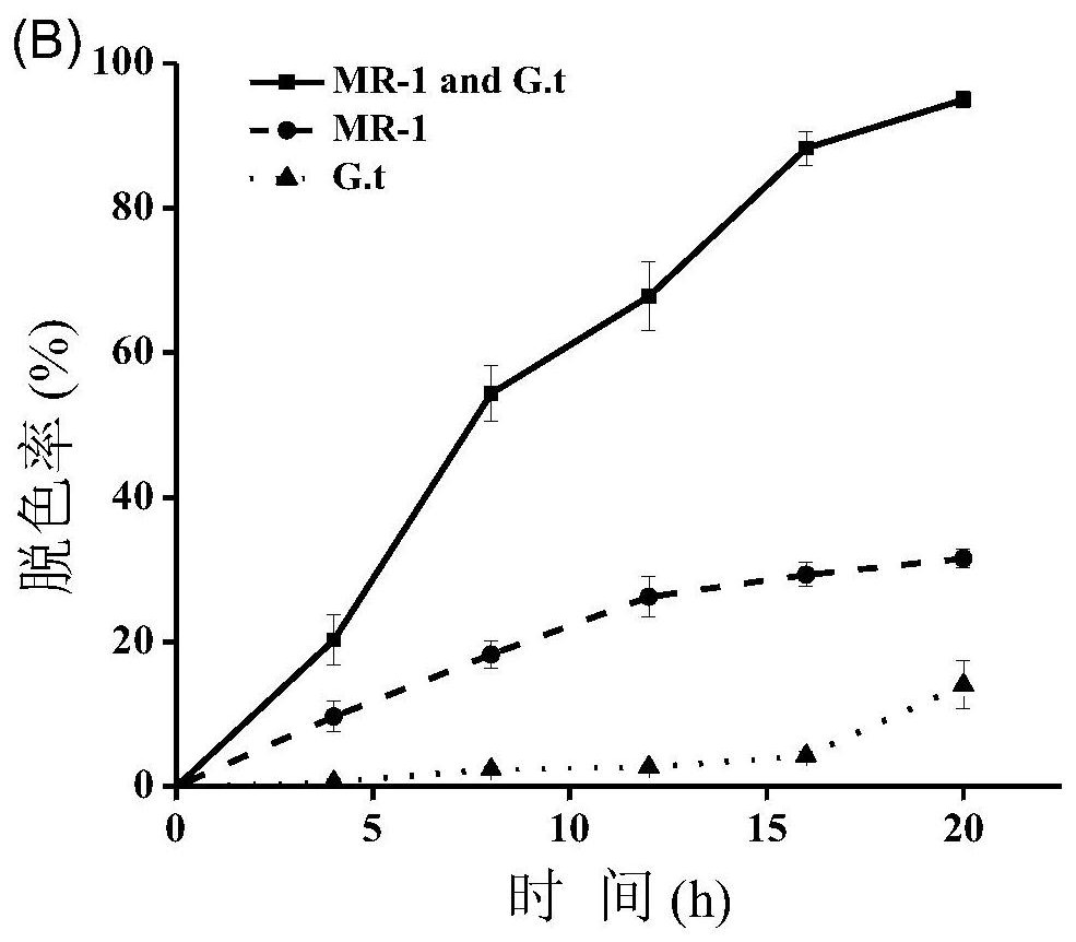A dye anaerobic biological decolorization system and method