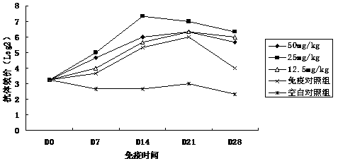 Application of Ganoderma lucidum polysaccharide in preparing traditional Chinese medicine immune enhancer