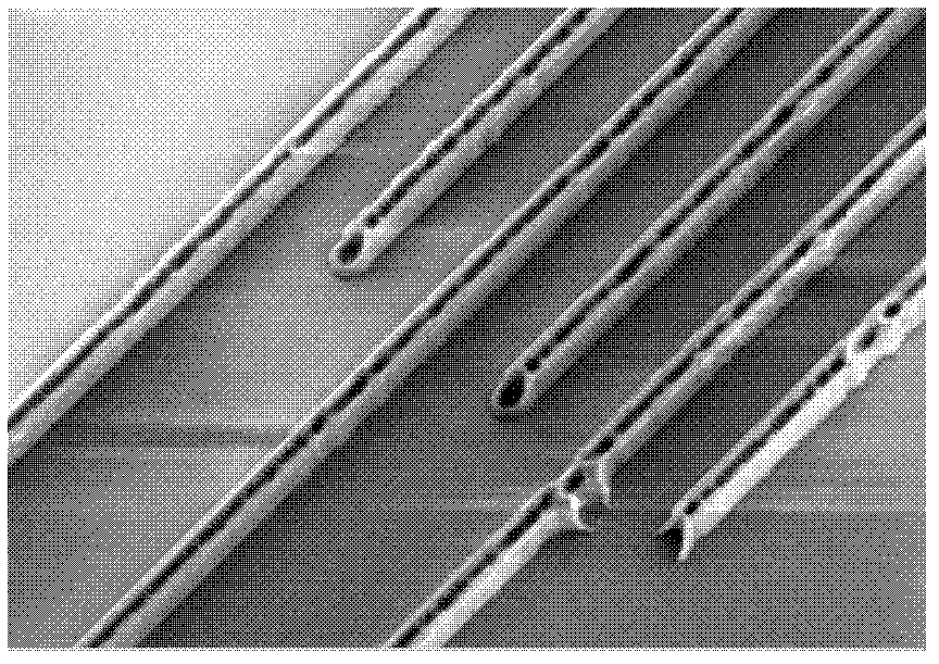 Photoresist composition, and preparation method and application thereof