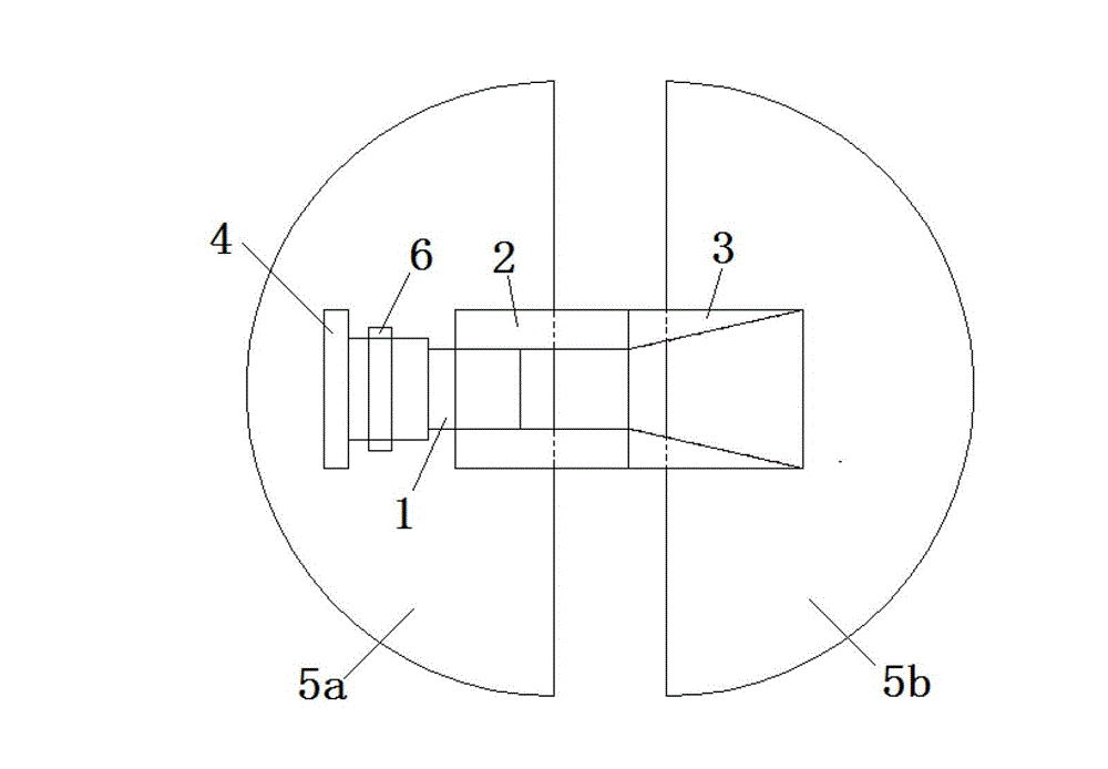 Electrode structure and electrode fixing structure for plasma thruster