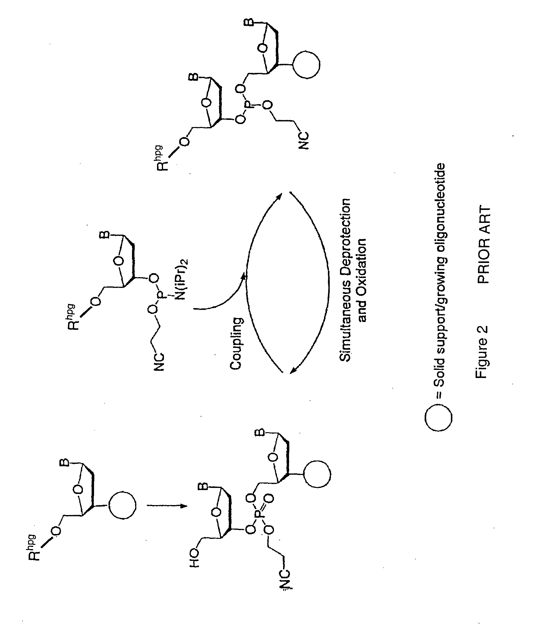 Method for polynucleotide synthesis