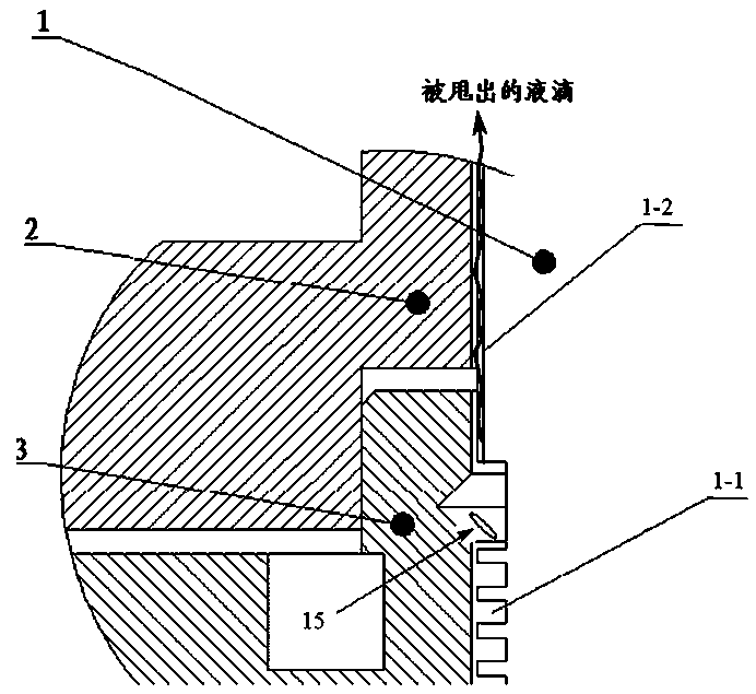 A shaft sealing structure for semiconductor special equipment