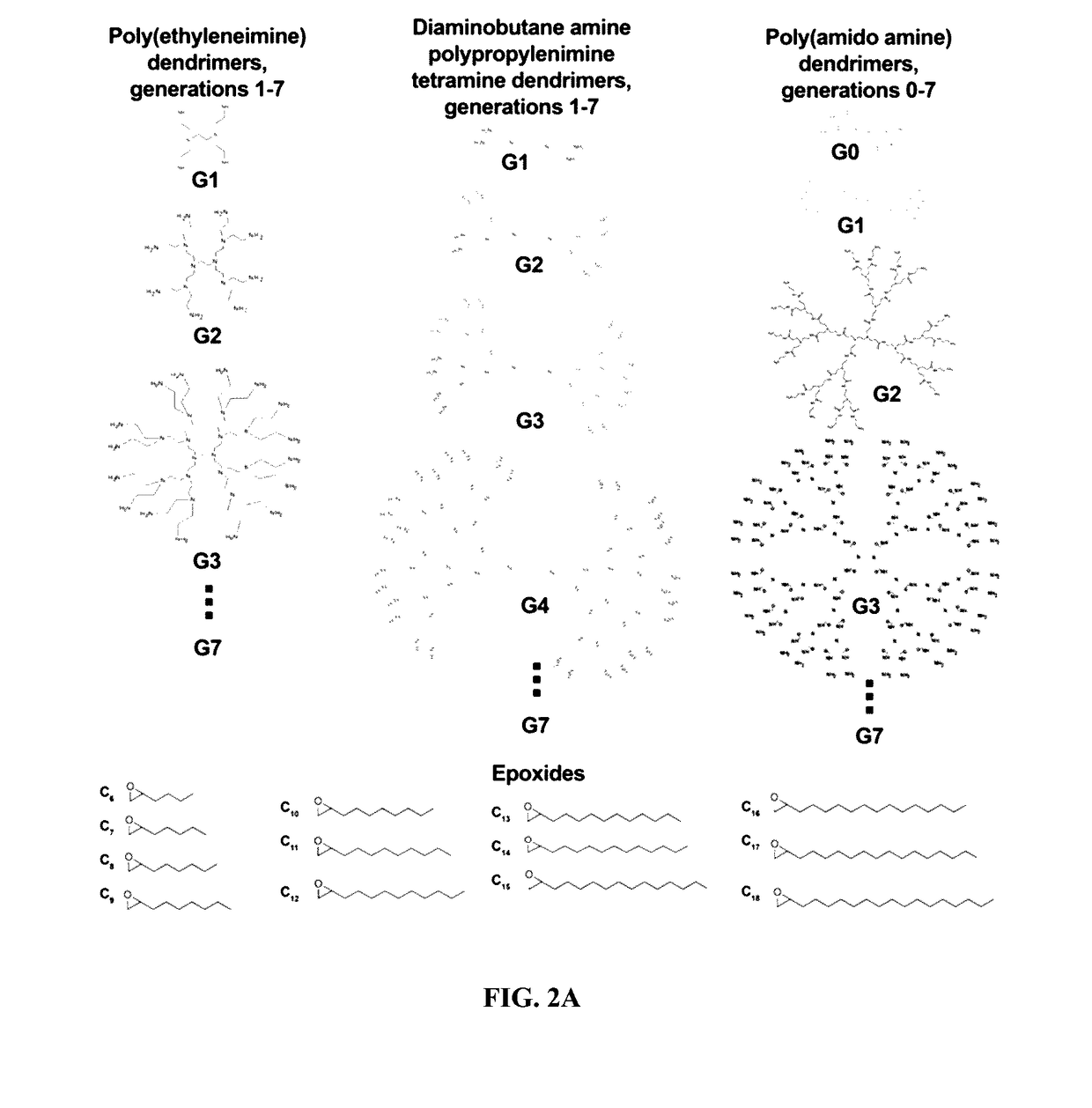 Compositions and methods for modified dendrimer nanoparticle delivery