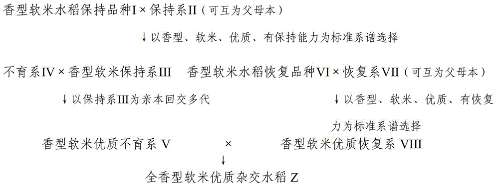 A kind of breeding method of all-fragrant soft rice three-line hybrid rice