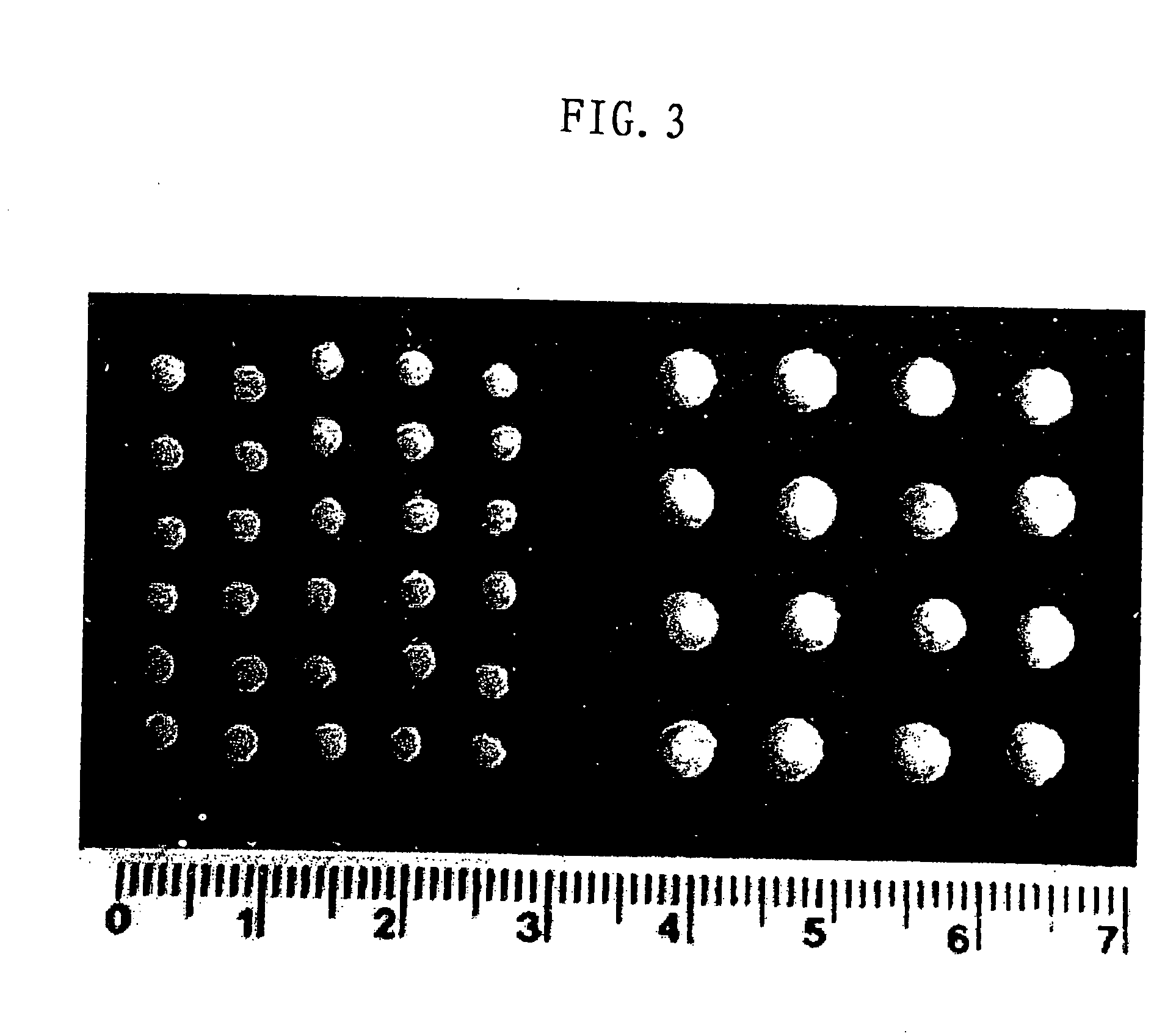Scaffold product for human bone tissue engineering, methods for its preparation and uses thereof
