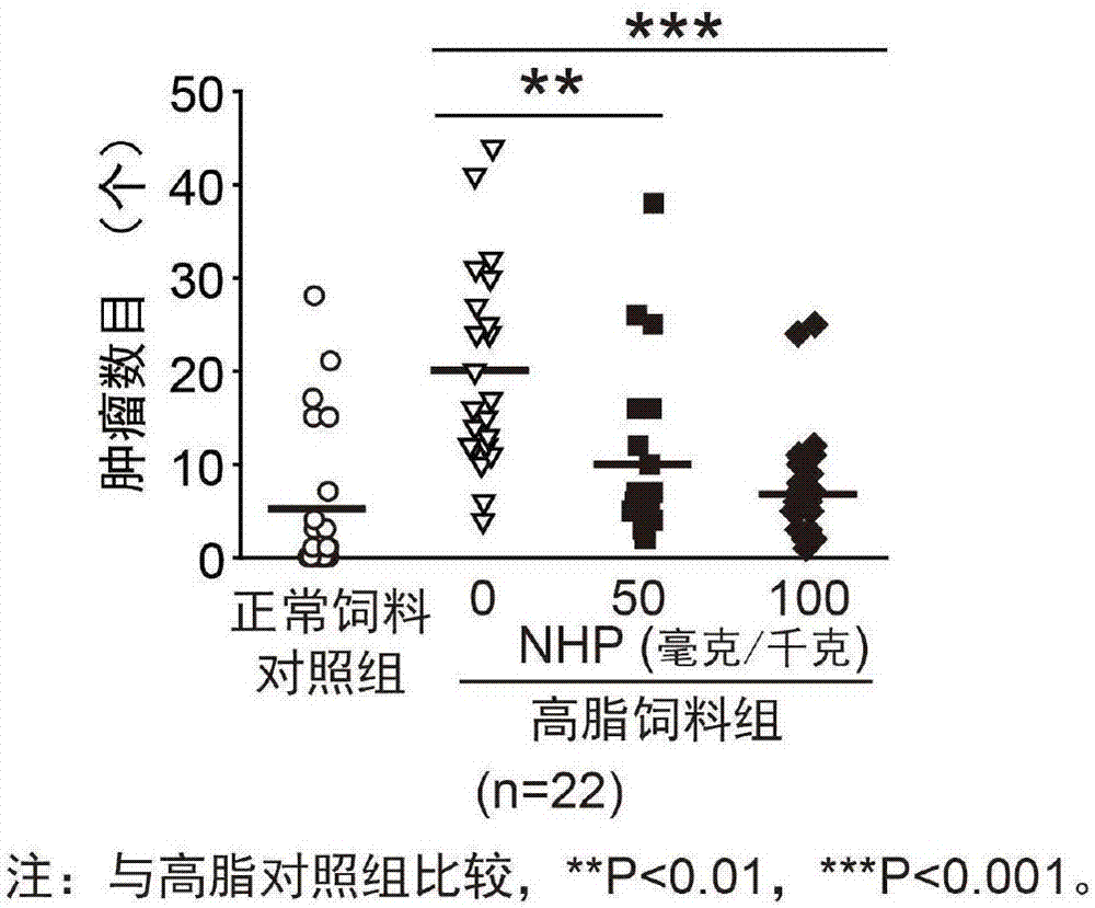 Application of neohesperidin in preparation of tumor prevention and treatment drugs