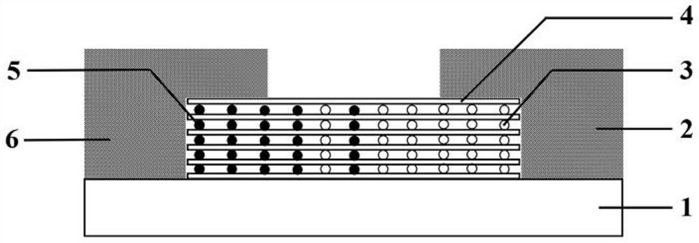 Memristor unit based on dual-ion regulation and preparation method thereof