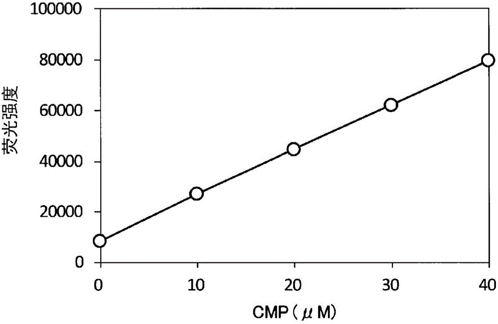 Method for detecting fluorescence or absorbance, method for suppressing background, method for measuring ADP, method for measuring activity of ADP-synthesizing enzyme, and method for measuring activity of glucosyltransferase