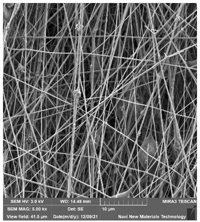 Artificial periosteum containing quercetin and magnesium oxide as well as preparation method and application of artificial periosteum