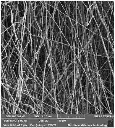 Artificial periosteum containing quercetin and magnesium oxide as well as preparation method and application of artificial periosteum