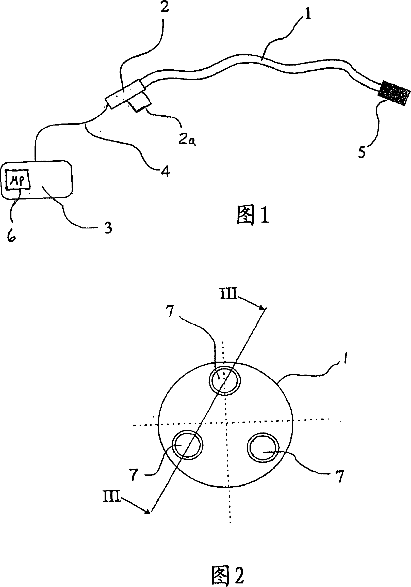 System for mapping and intervention of an organ within the human or animal body