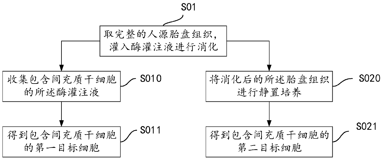 Separation method of mesenchymal stem cells