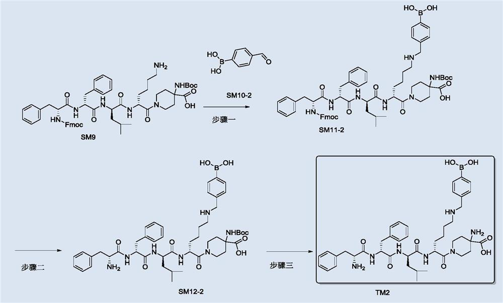 A kind of polypeptide derivative and its use in the field of medicine