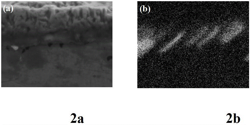 Preparation method forming protective film by alloy surface in-situ oxidation reaction