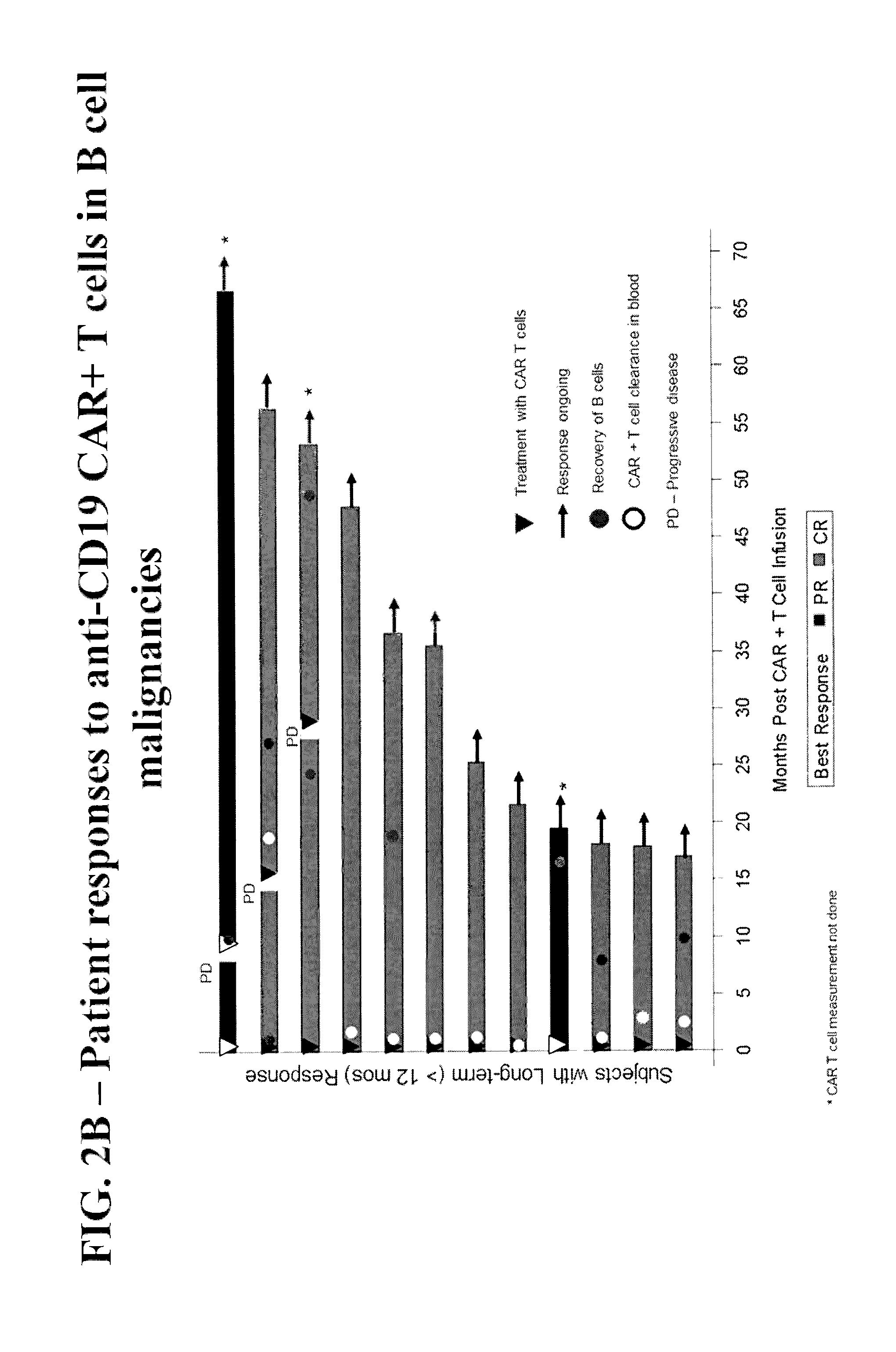 Methods of Conditioning Patients for T Cell Therapy