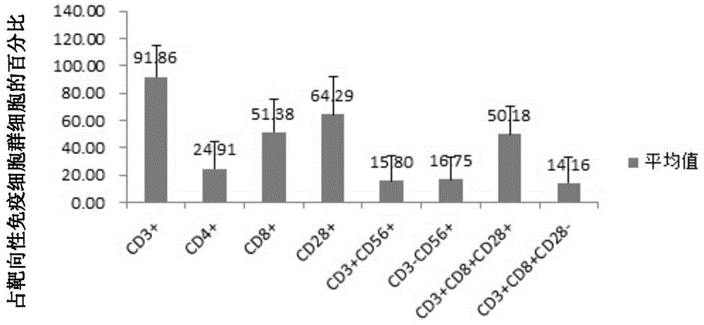 DC cell based on HER-2/NEU antigen, targeting immune cell population, preparation method and applications thereof