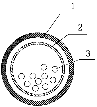 Anti-inflammatory anti-tumor micro-capsule and preparation method thereof