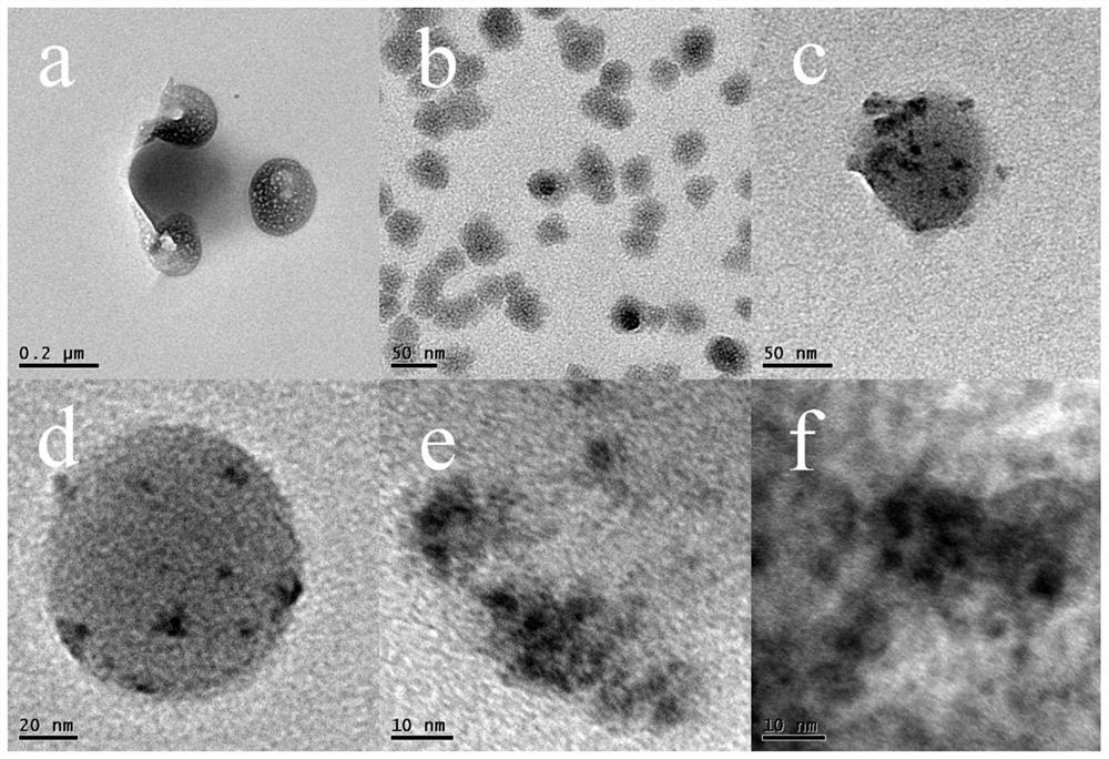 A preparation method and application of polymethyl methacrylate nanosphere-molecularly imprinted fluorescent material